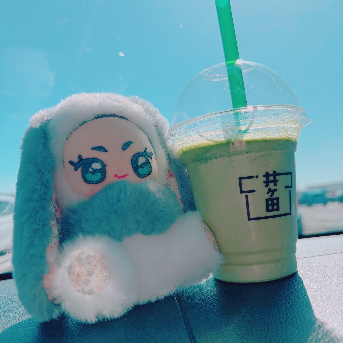 ふさふさ (@husahusa_kenami) on Twitter photo 