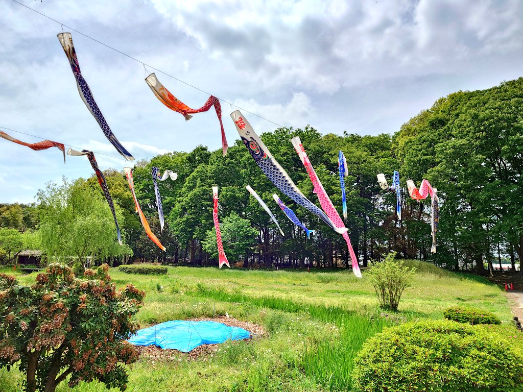 garden5551's tweet photo. 今日、明日は深谷城址公園で「ふかや花フェスタ」が開催中ですが、ふかや緑の王国も通常通り開園しています！
​実は王国もオープンガーデンのお庭のひとつ。
お祭りの賑わいから少し離れて、のんびりお花を楽しみませんか？ぜひお越しください。
​#ふかや花フェスタ #ふかや緑の王国 #オープンガーデン https://t.co/7Xl5jZlWjf