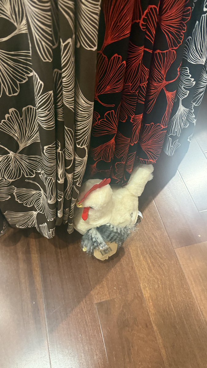 ChunLogan_cm320's tweet image. Love finding random stuffies in store! 

@CM320Class #Hawaii #Chicken #Homegrown #LivingLikeLogan