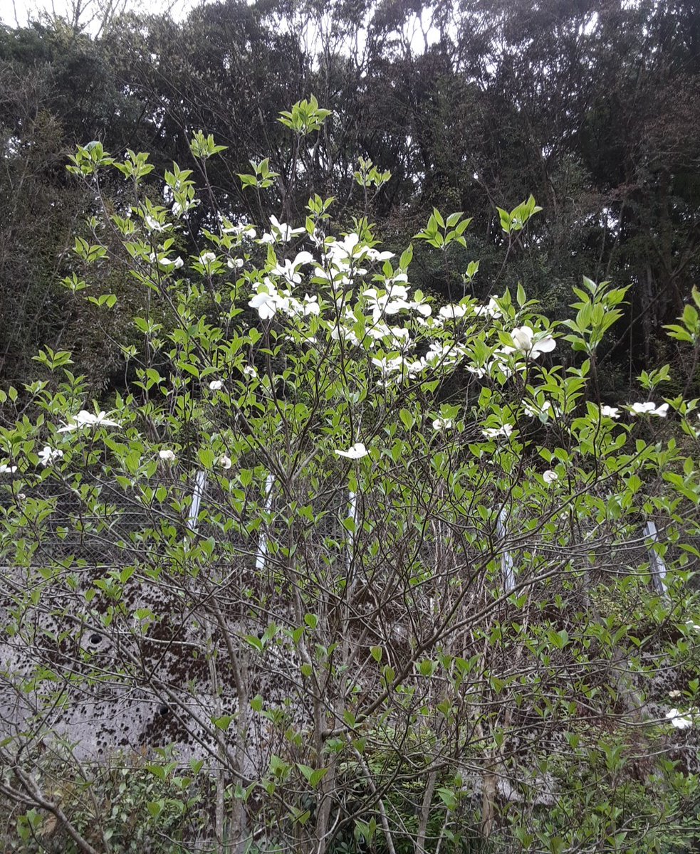 すみちゃん❗ tweet media