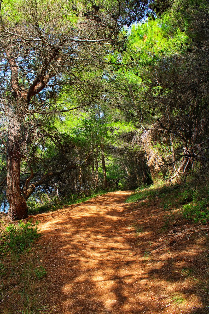 Protano's Bakery tweet media