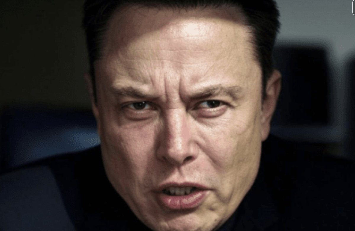 TotalNewsWorld tweet media