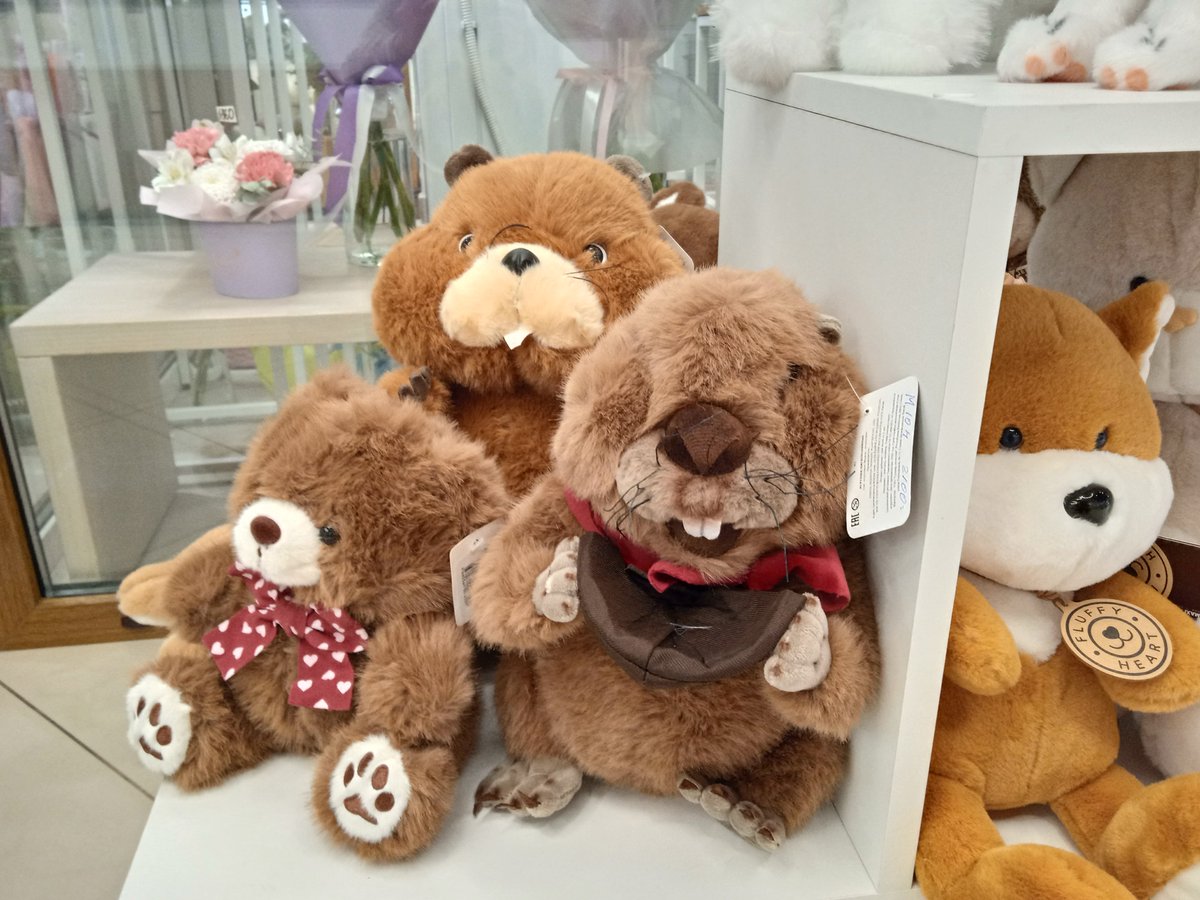 Surovmag's tweet image. #coffee #barnaul