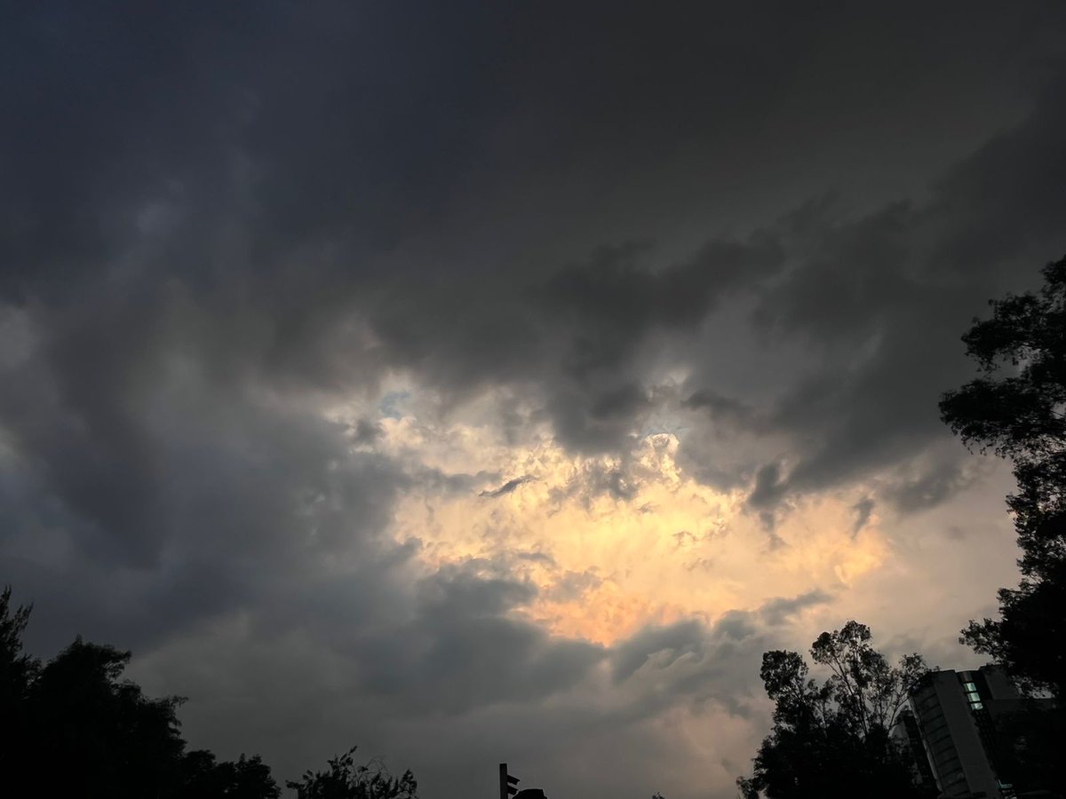 El que olvida tweet media