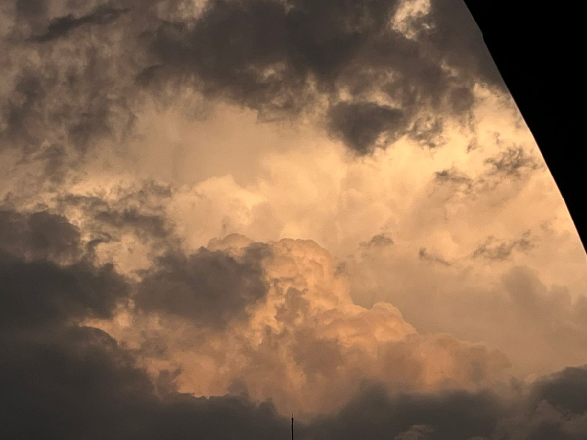 El que olvida tweet media