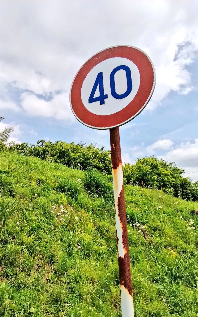 江楠獲入🐦 tweet media