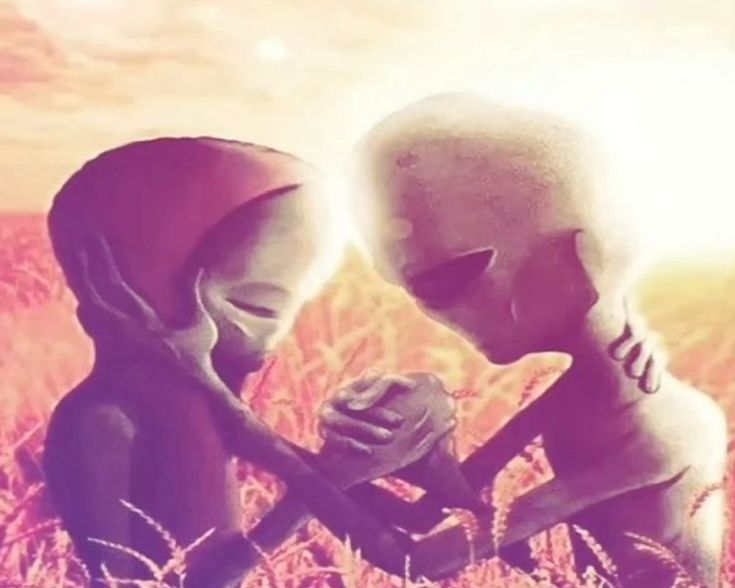 Reich habla con la verdad 3.0 tweet media