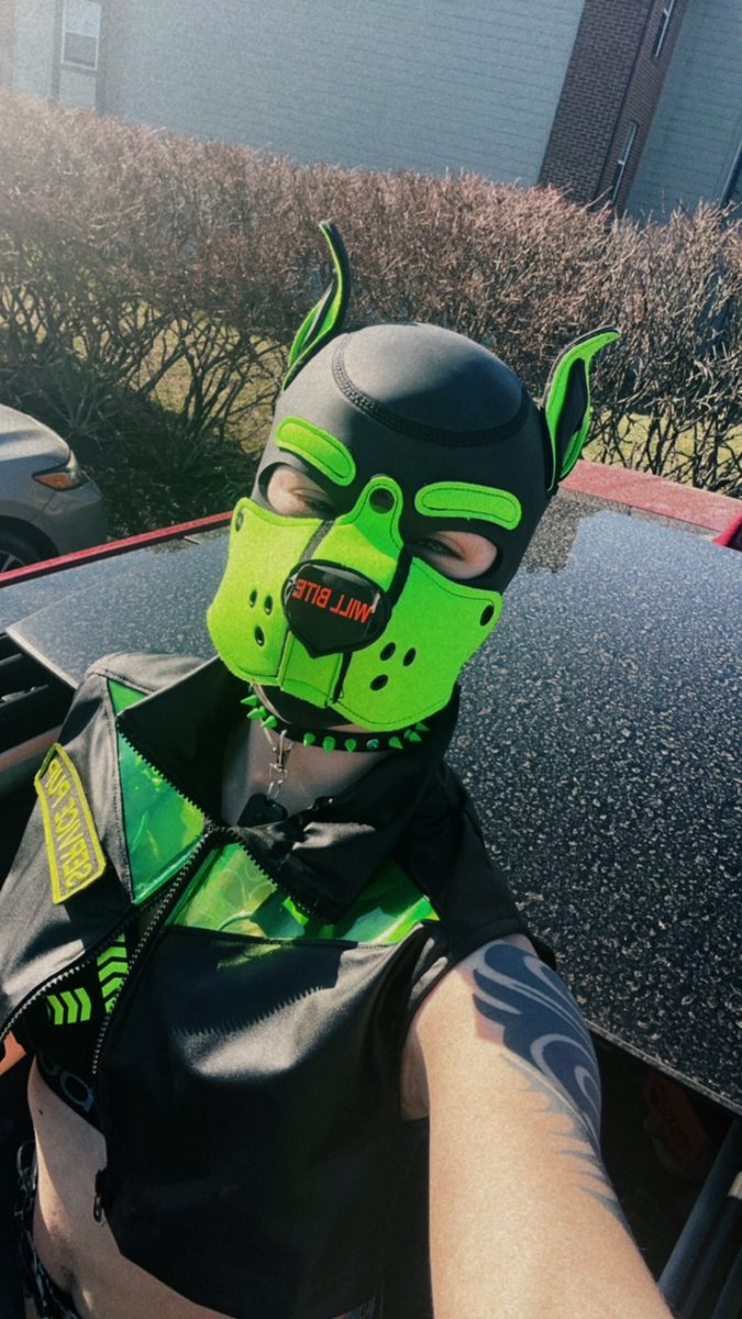 servicedumbmutt's tweet photo. I’ve realized I haven’t made one of these yet oopies 🥴

Zex
24
Gay man, trans ftm 
Puppy
Bottom, submissive, prey, puppy 
Fav kinks: pup play, bratting, intox, cnc 

Need someone more friends~ come play with puppy! Like, follow, share to moot 🐕

#ftm #ftmporn #nsfwtwt #pupplay https://t.co/m3GPGc9636