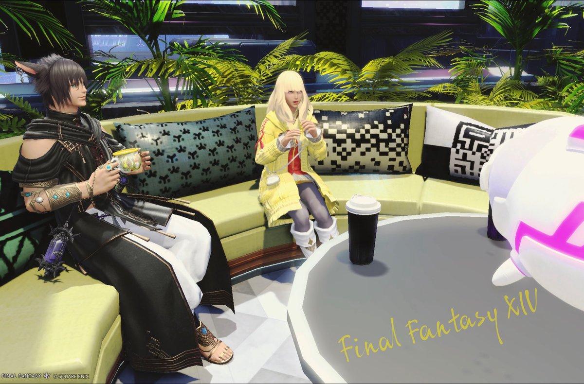 もか☕️🐈‍⬛ tweet media