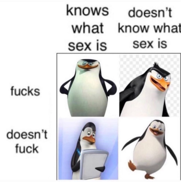 Shitpost 2077 tweet media