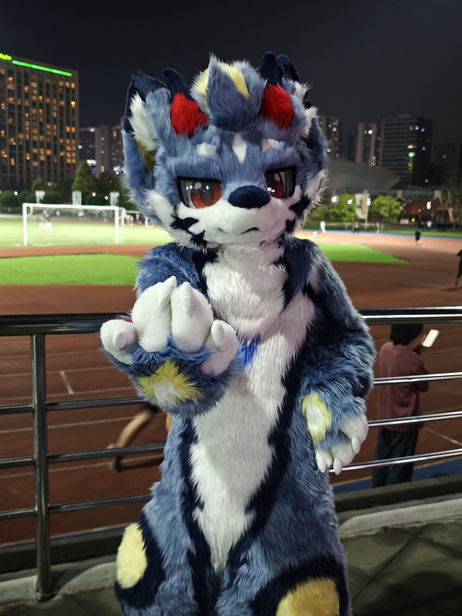 凌巽 tweet media