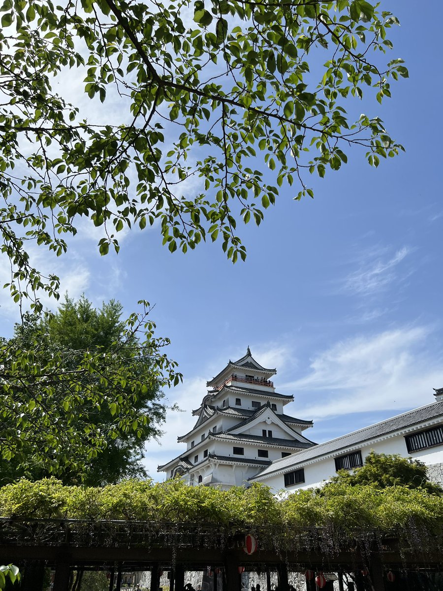 よろよろみまなん tweet media