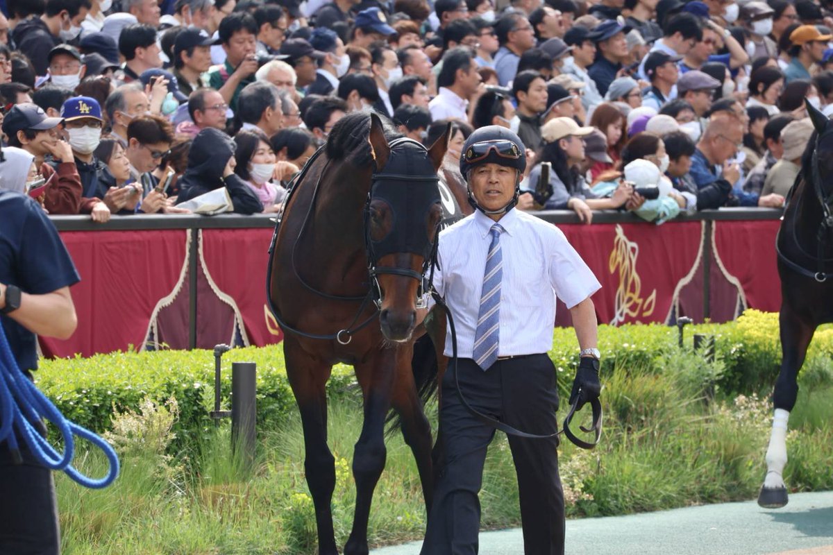 競馬ラボ tweet media