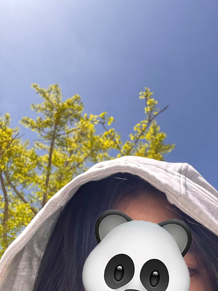 7号小行星（狗姐版 tweet media