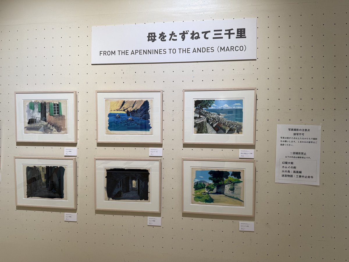 辻　壮一　Souichi TSUJI tweet media