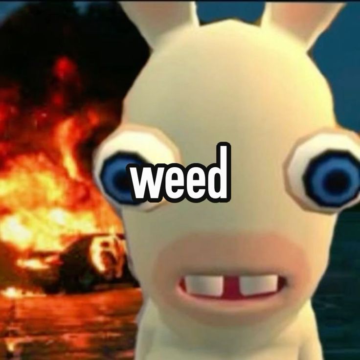 ROTTED GUTTZ tweet media