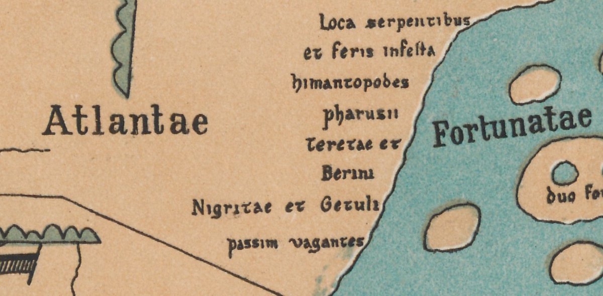 Taⵛhfine tweet media