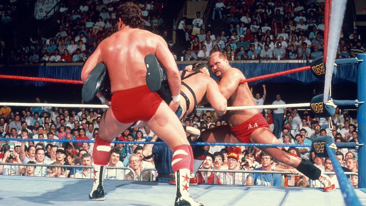 WWF Wrestling tweet media