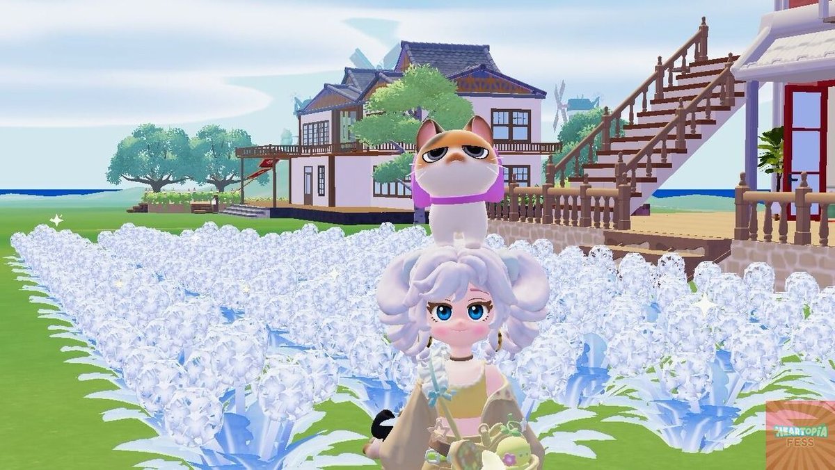 Heartopia Fess tweet media