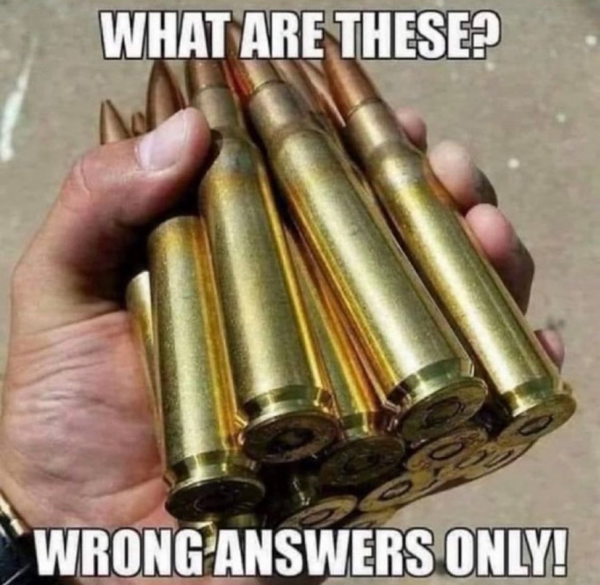 Trumplicans2024.com tweet media