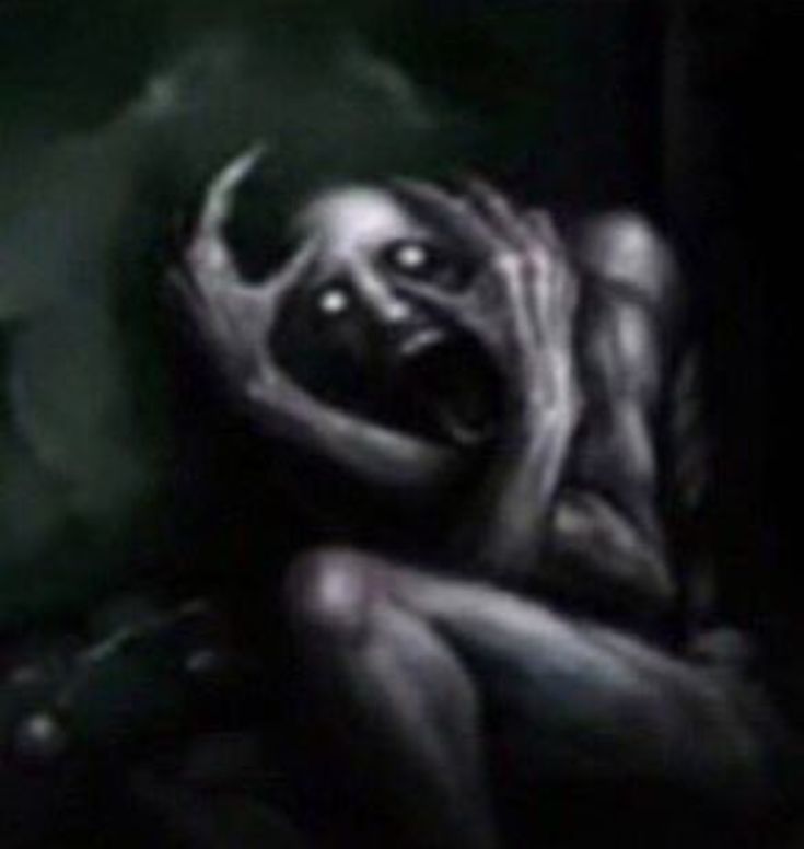 Reich habla con la verdad 3.0 tweet media