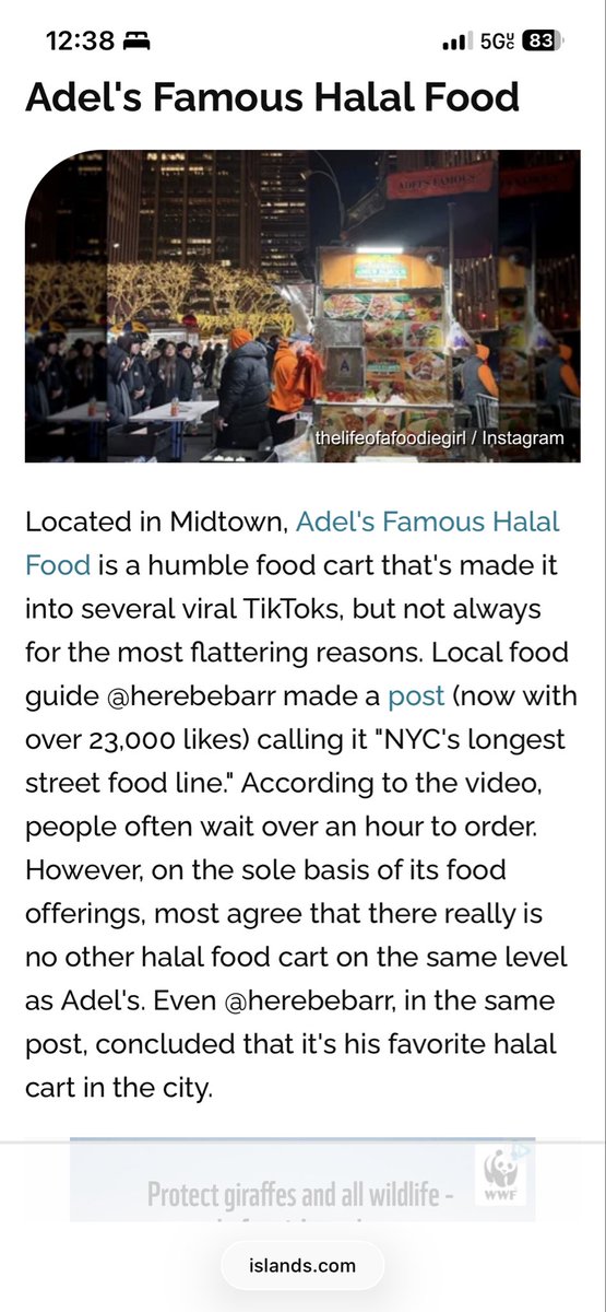 ElVerdeRican tweet media