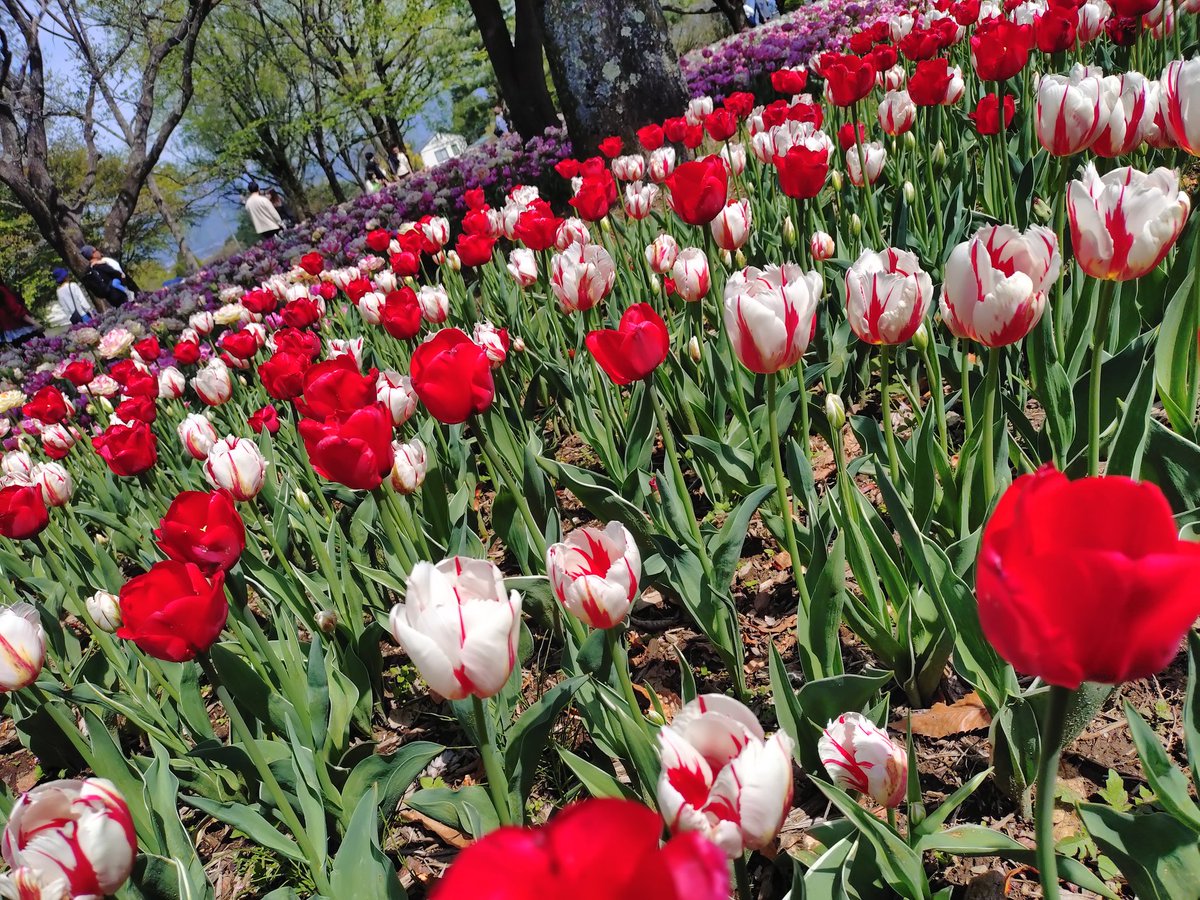 よう🐾🐈‍⬛🐈 tweet media