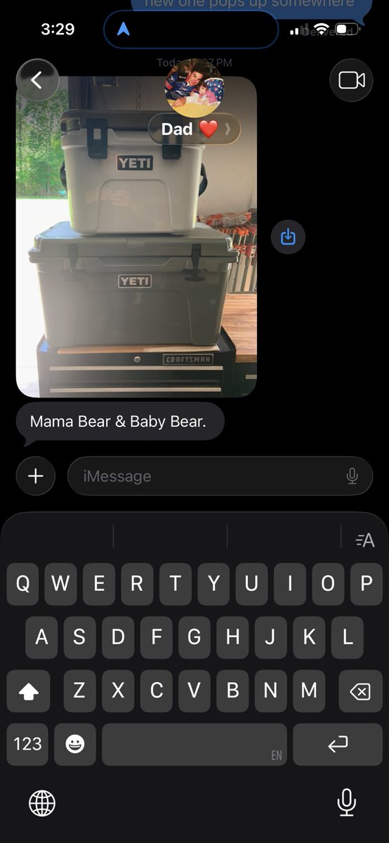 mama bear &amp; baby bear