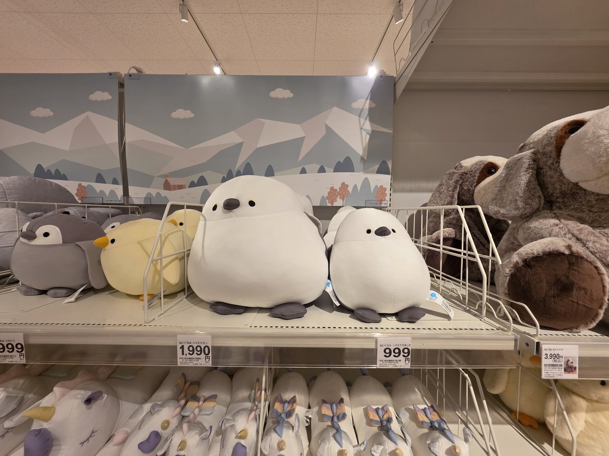 ごみまる🔰 tweet media