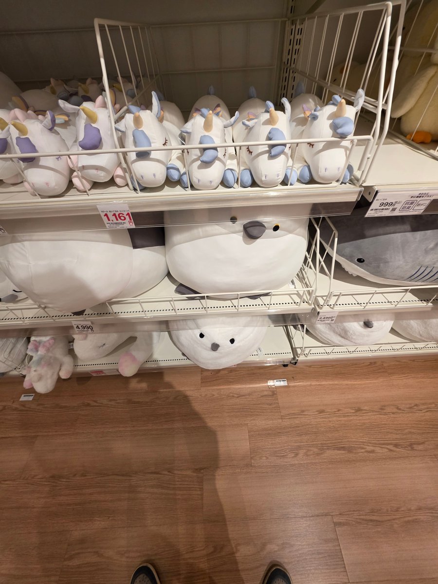 ごみまる🔰 tweet media