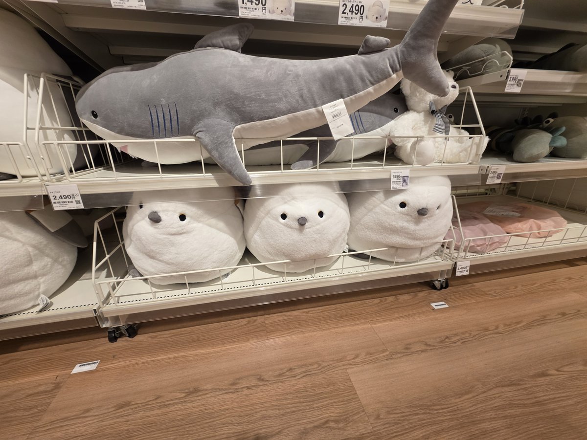 ごみまる🔰 tweet media