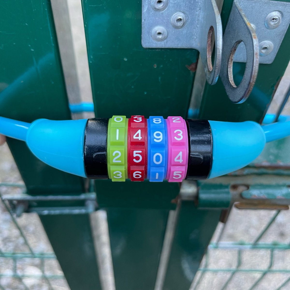 Swerzylicious tweet media