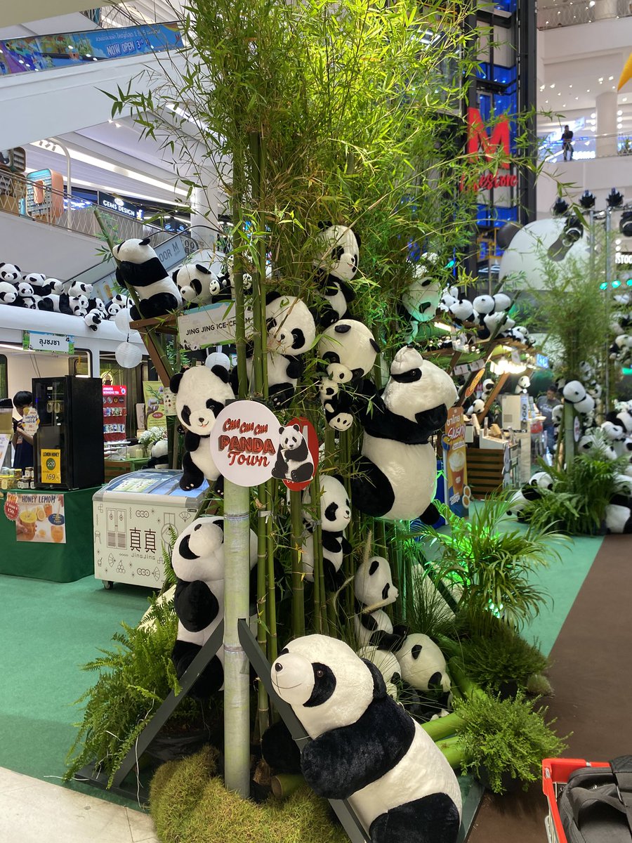 ดาด้าห์ อิ้อิ้ซ่าห้าห้าบวก :) tweet media