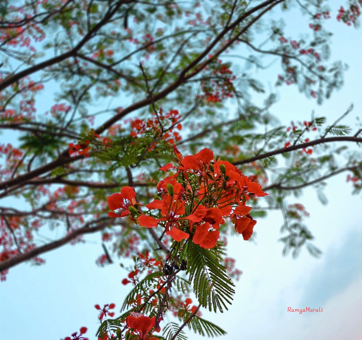 Share your 'look up' photos.