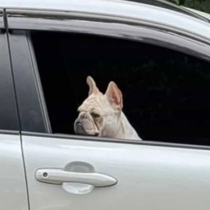 igs: ran_ayd
“ เมื่อย่าแวะซื้อก๋วยเตี๋ยว 🌞 ” 

🐶🐶🐻‍❄️🤏🏻