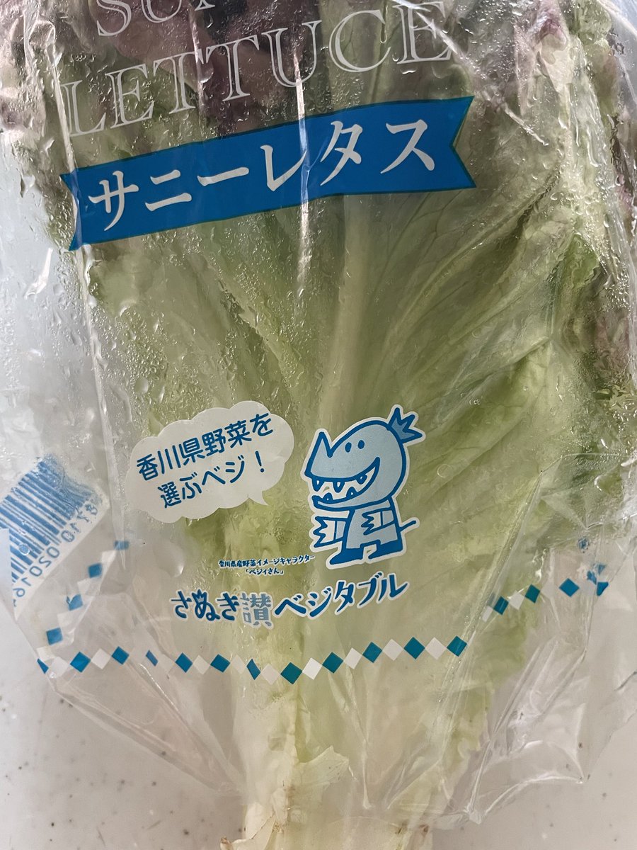 mrspretzel2's tweet photo. この恐竜みたいなのが好きでいつもこのレタス選んでしまう https://t.co/jy6VfByCzk