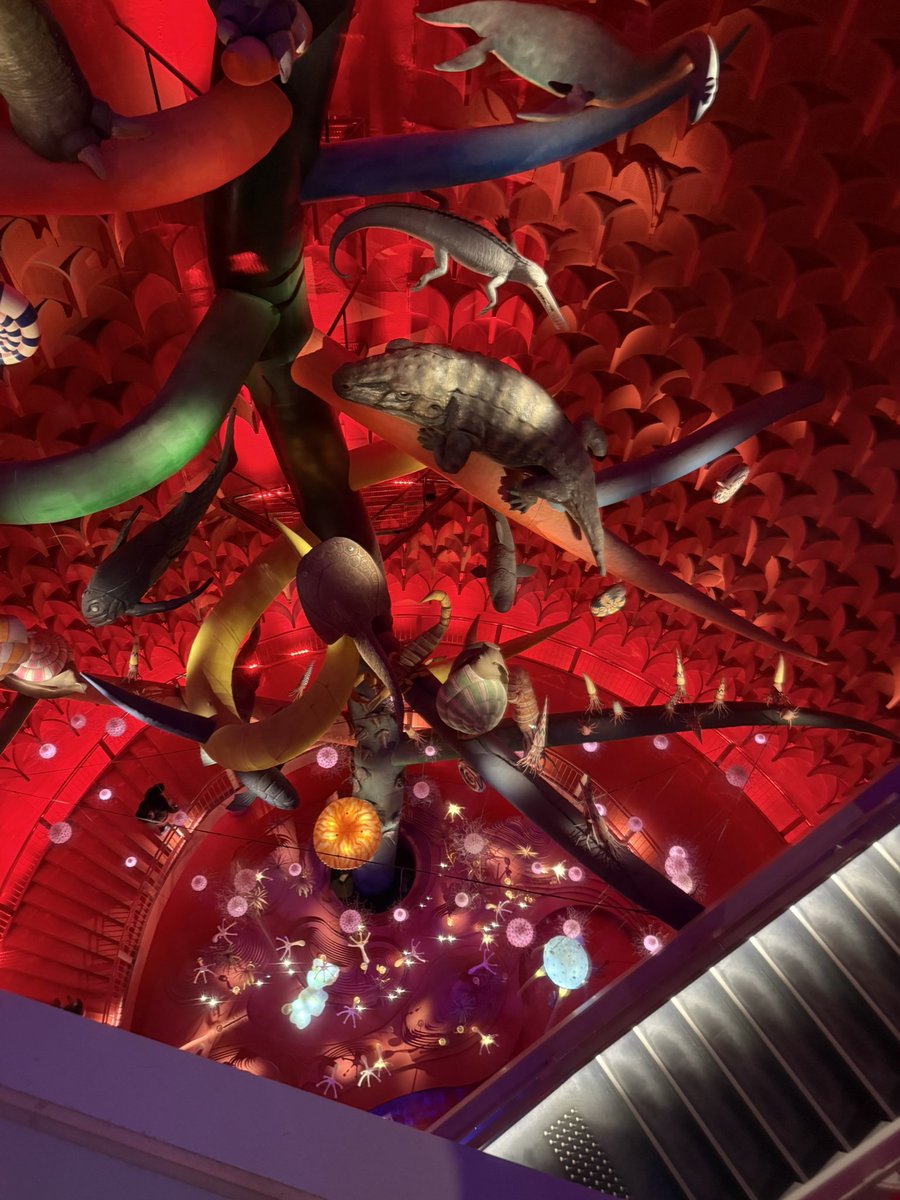 Yoichiro Nara🌲 tweet media