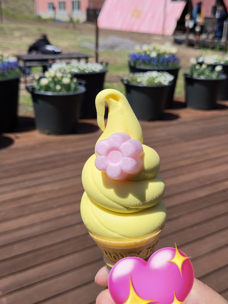 🌸🌸momo🌸🌸 tweet media