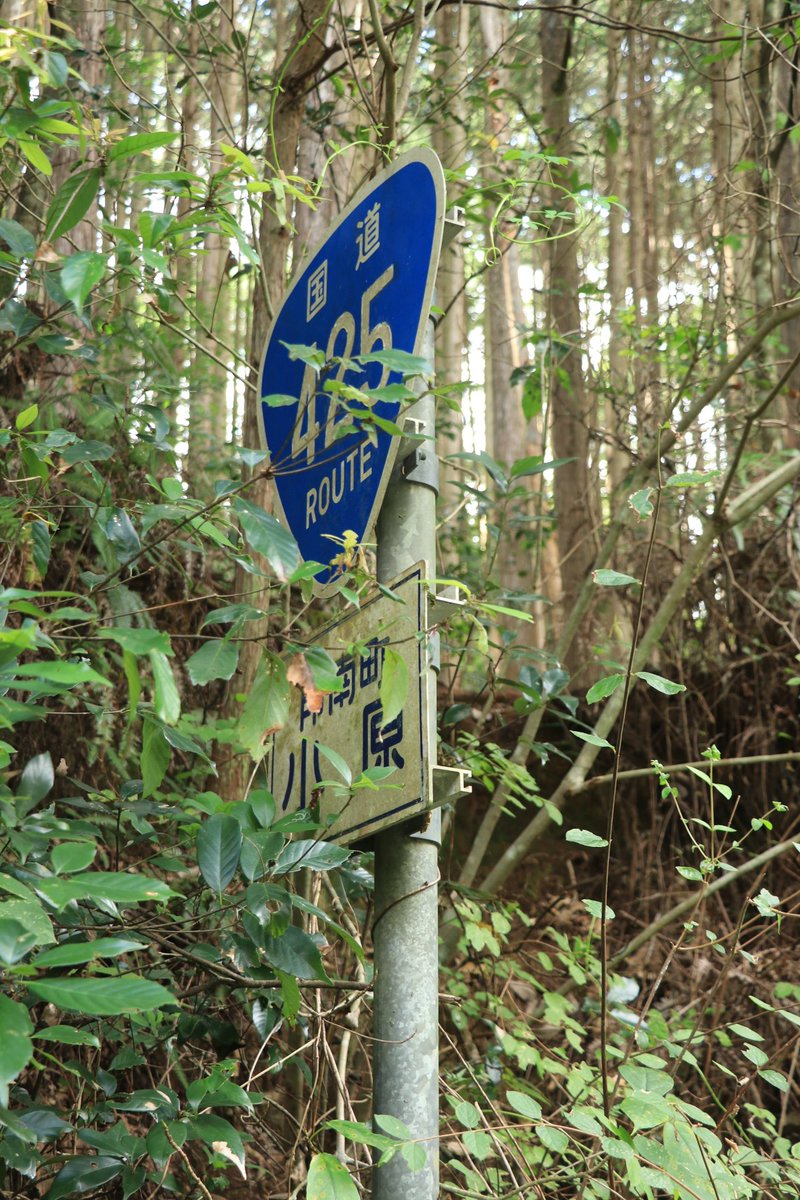 ごん８ tweet media