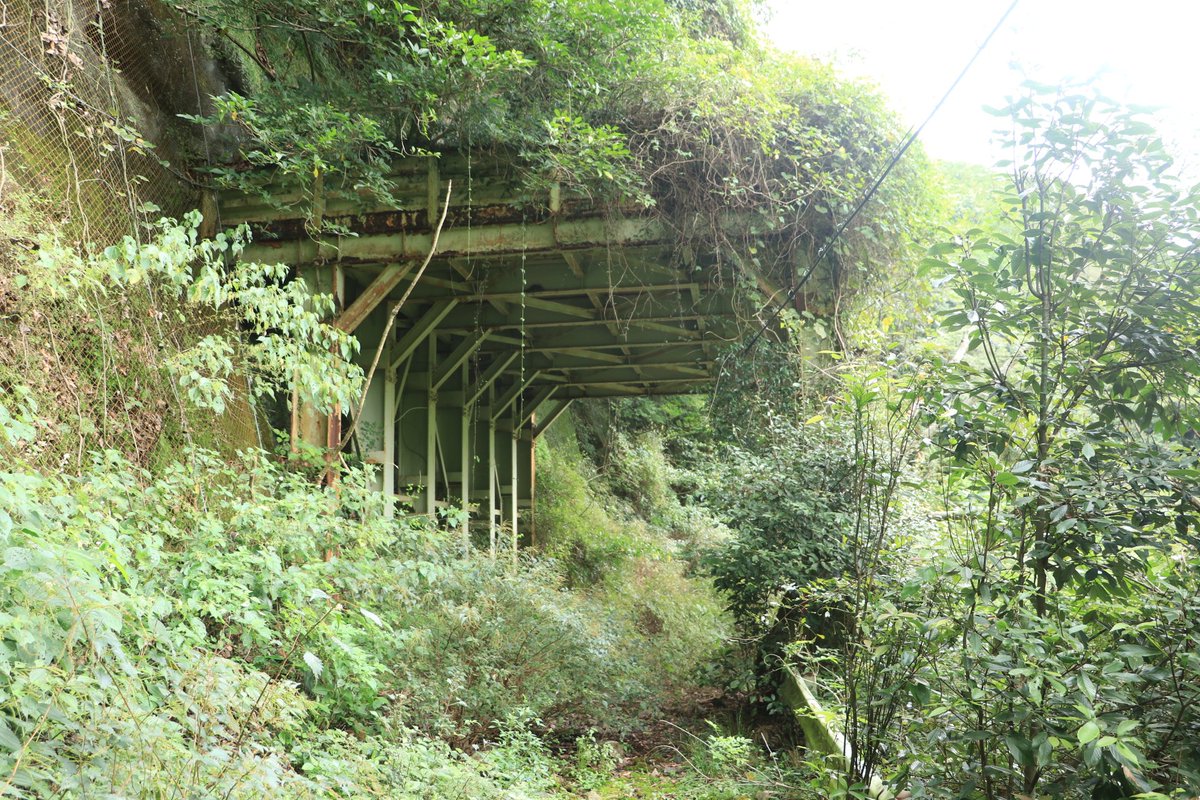 ごん８ tweet media