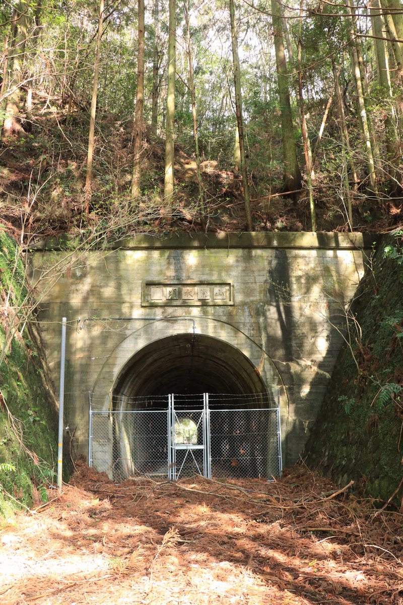 ごん８ tweet media