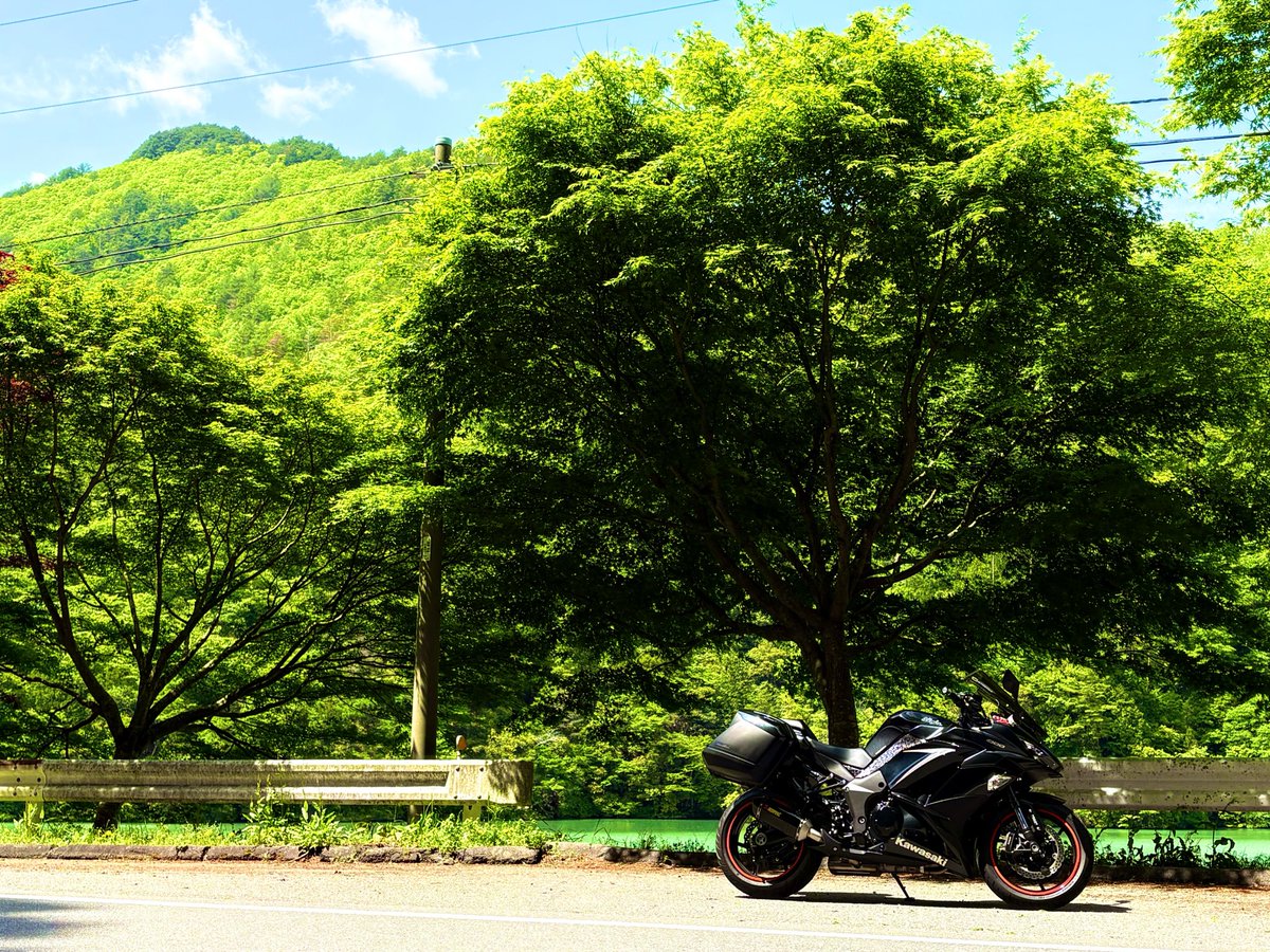 Ryo_Ninja1000's tweet image. 春が過ぎるのはあっという間。
山は緑が濃くなってます🤭🤭
#Ninja #Ninja1000 #忍千 #ツーリング