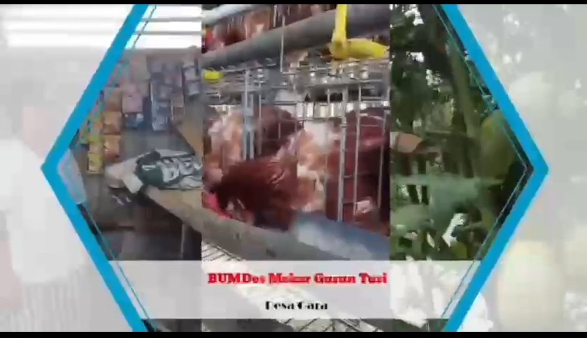 BUMDesa Desa Gara, Satarmese, Manggarai menetapkan 3 jenis Ketapang, Holtikultura, Produksi Tempe, Ayam Petelur untuk meningkatkan Pendapatan Masyarakat. 

<a href="/YandriSusanto/">Yandri Susanto</a>
<a href="/KemensetnegRI/">Sekretariat Negara</a>

#KementerianDesaPDT
#BPSDMKementerianDesaPDT
#BUMDesaDorongUsahaPetani