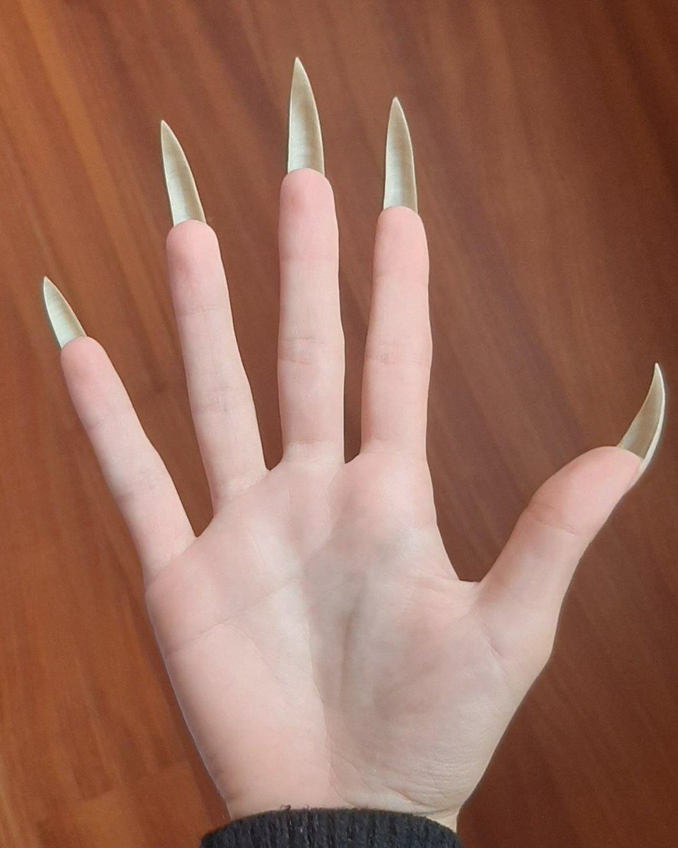 @longnailspage tweet media