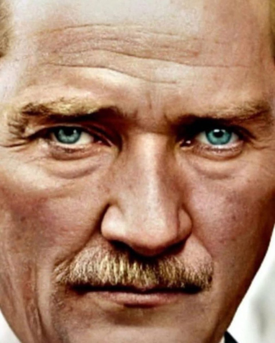 Işık Özkefeli tweet media