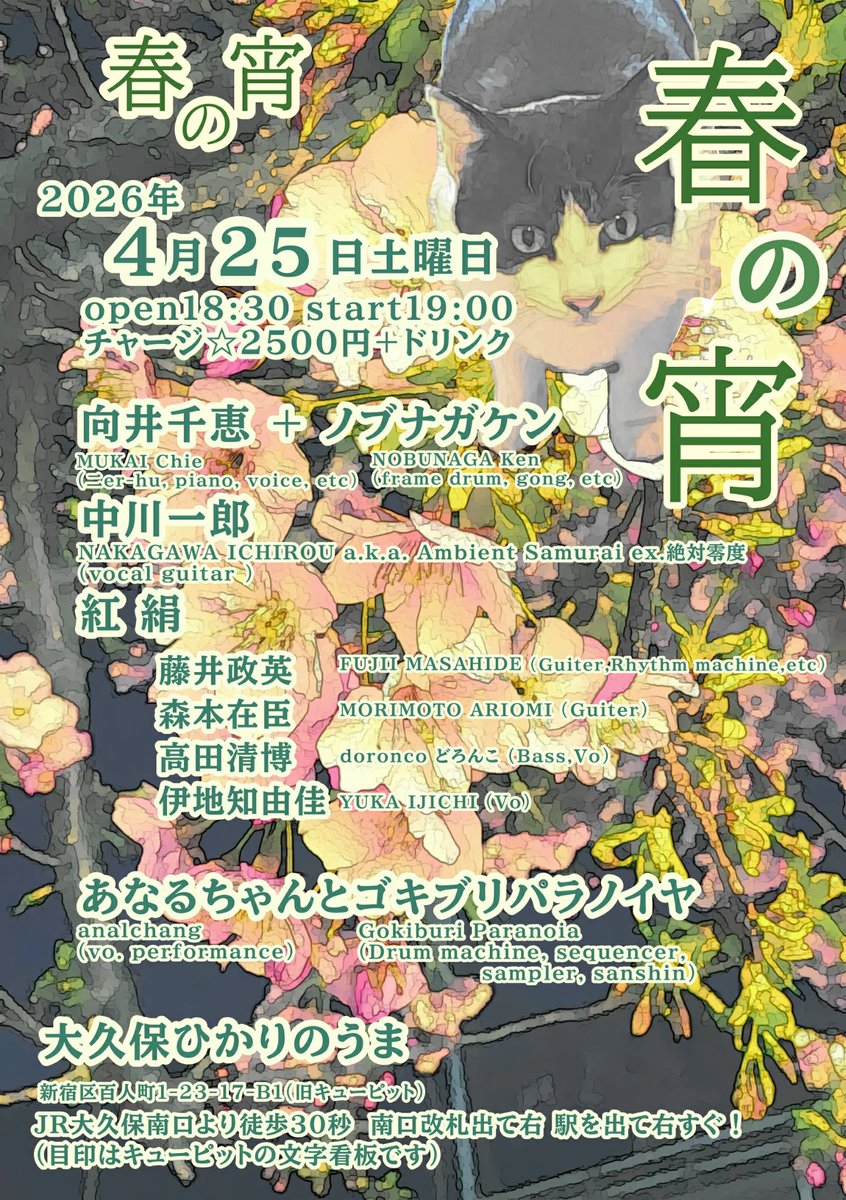 向井千惠 tweet media