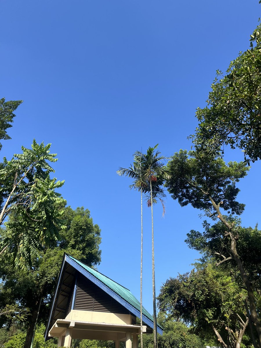 biasalahanakmud's tweet photo. jakarta kalau paginya biru, sorenya cakep. tapi siangnya kaya berendem di kuah bakso afung https://t.co/JoOubplcxf