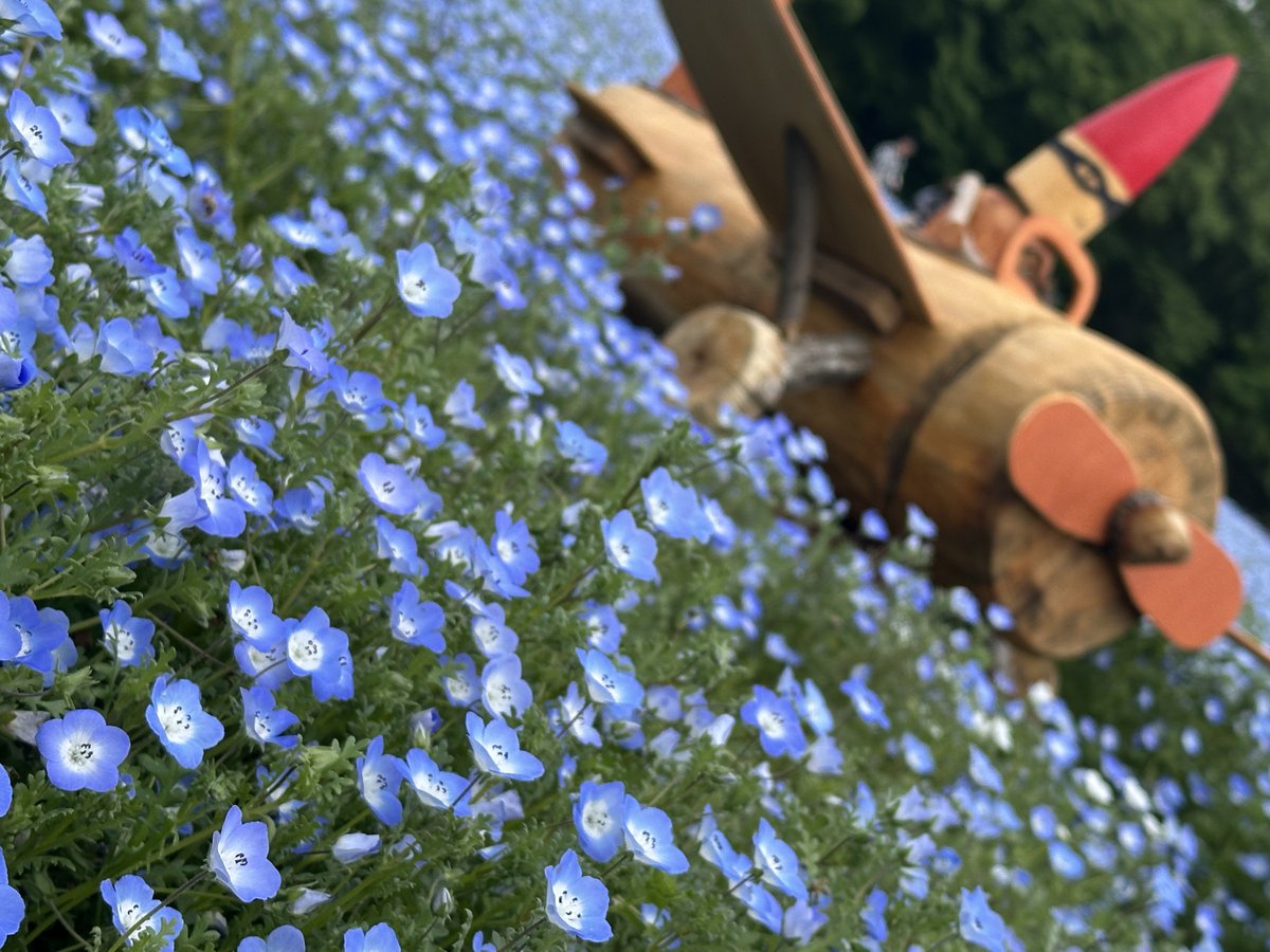 恋愛-ｺｱ- tweet media