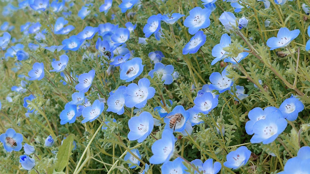 恋愛-ｺｱ- tweet media