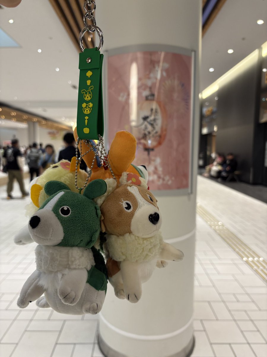 poco_a_nim's tweet photo. このわちゃわちゃ感大好き😍 https://t.co/6AohE7CWlC